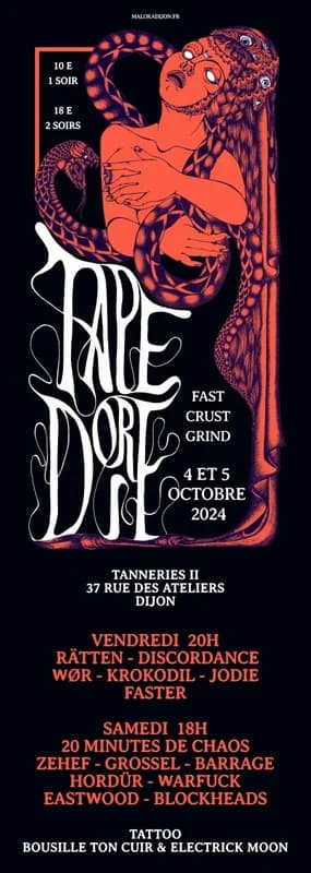Tape or Die Festival 2024: un estallido de grindcore y hardcore en Dijon