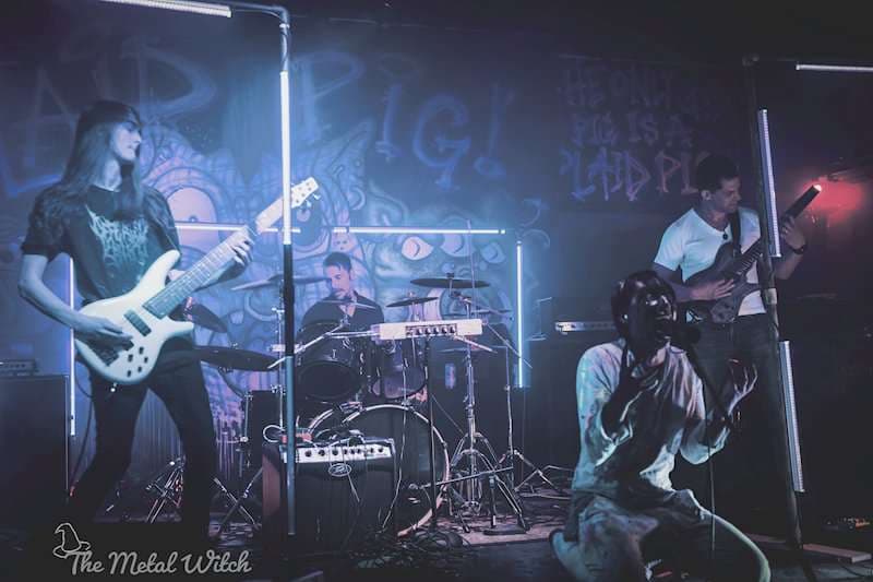 Voidthrone desencadena su locura en 'Dreaming Rat'