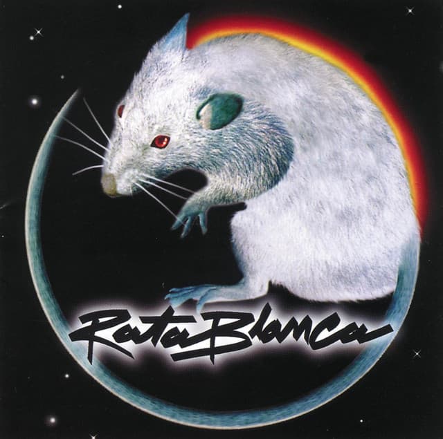 Rata blanca VII