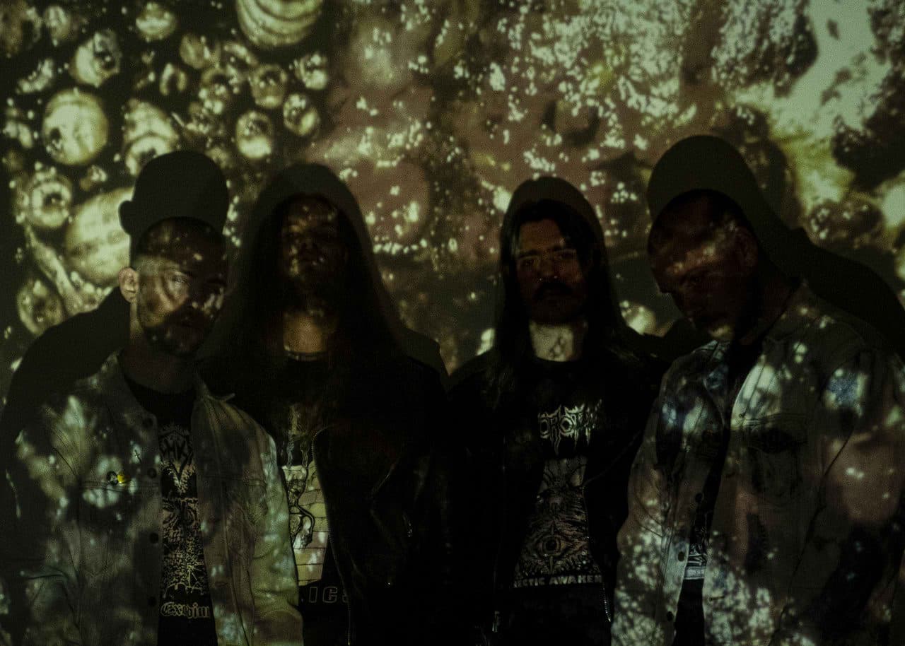 Cerebral Rot