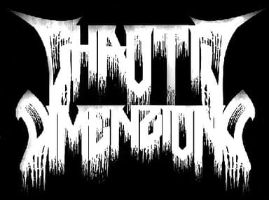 Chaotic Dimenzions logo