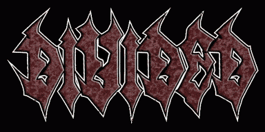 Divided logo