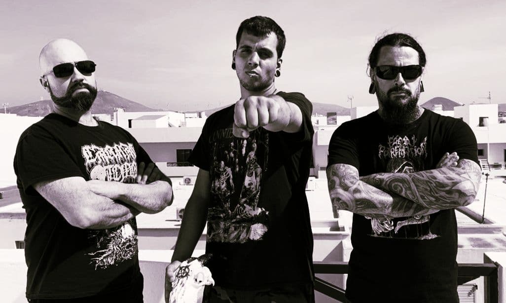 Faecal Putrefaction