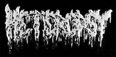 Heteropsy logo