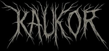 Kaukor logo