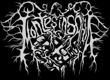 Montes Insania logo