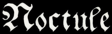 Noctule logo
