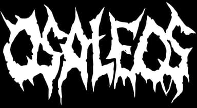 Osaleos logo