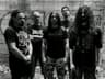 Putridity