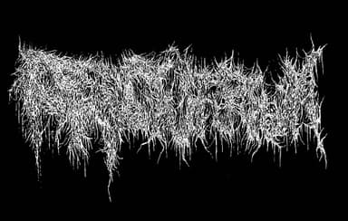 Sanctuarium logo