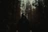 Saor