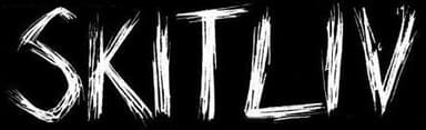 Skitliv logo