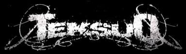 Teksuo logo