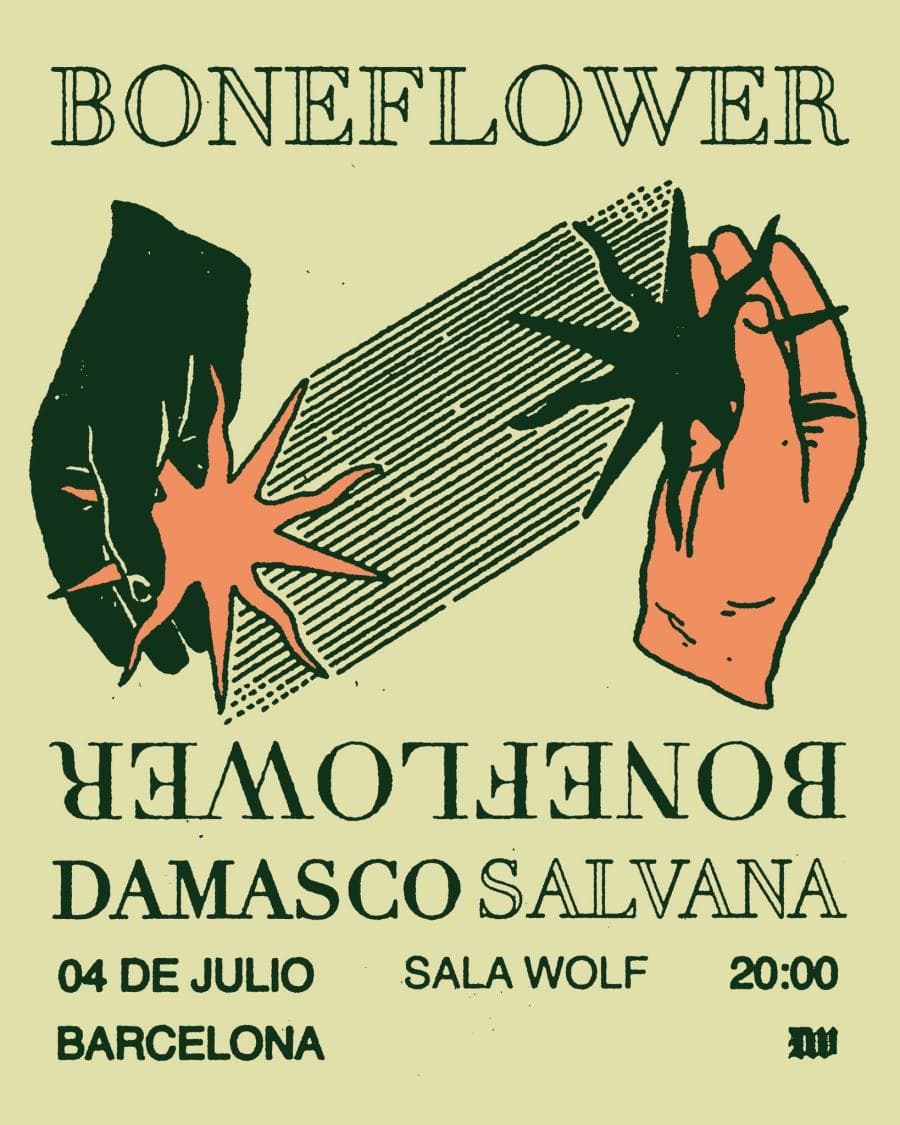 Boneflower + Damasco