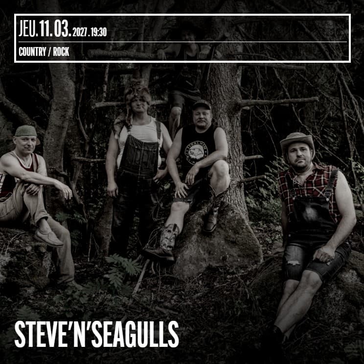 Steve 'n' Seagulls