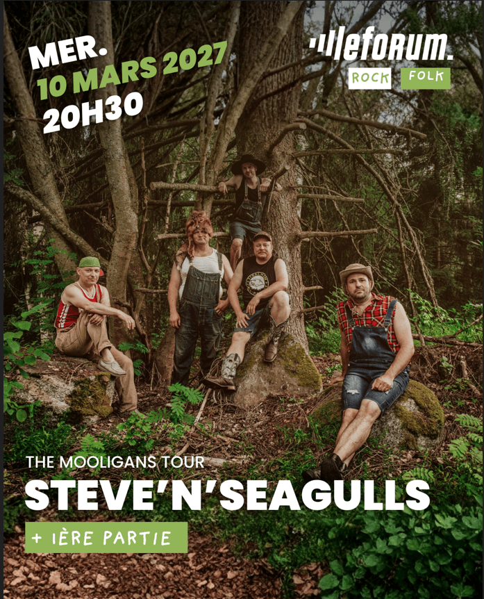 Steve 'n' Seagulls