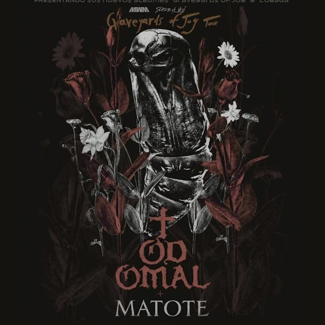 TodoMal · Matote