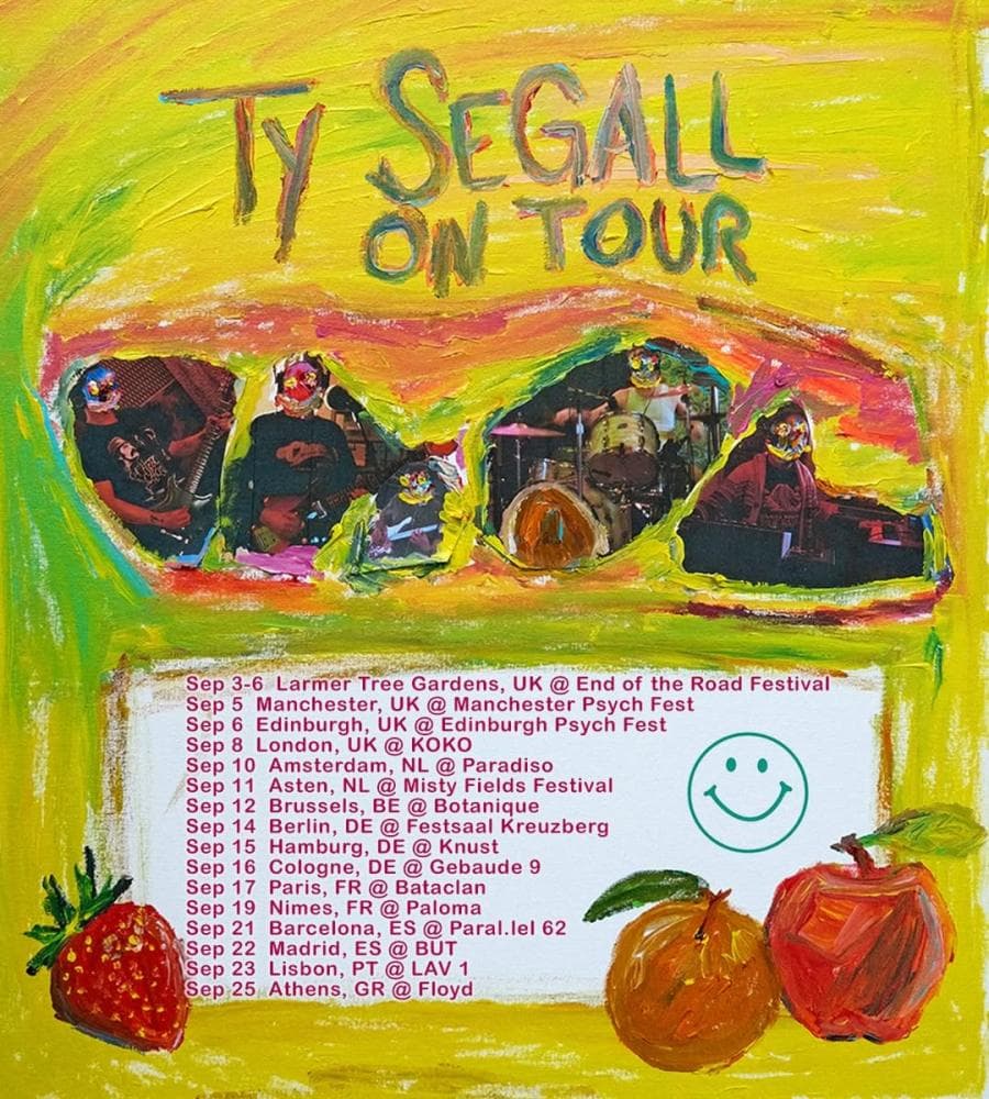 Ty Segall