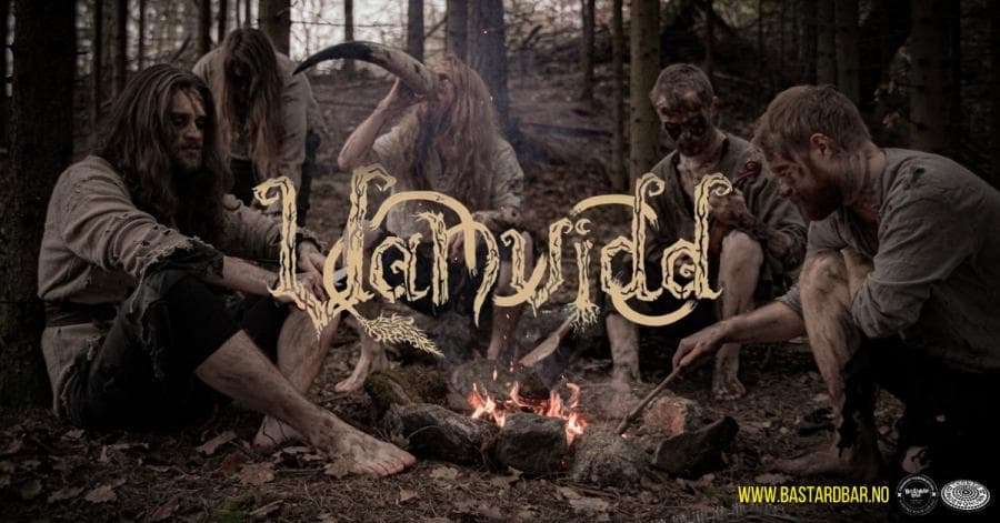 Vanvidd