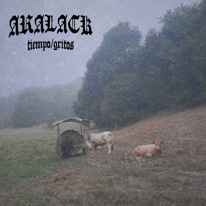 Tiempo/Gritos cover