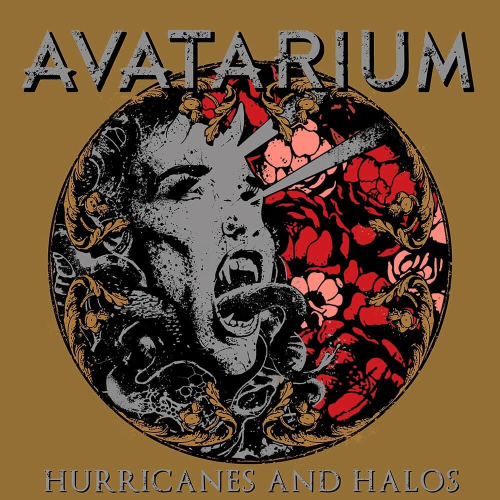 Hurricanes and Halos cover