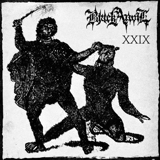XXIX cover