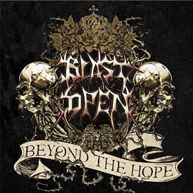 Beyond the Hope cover