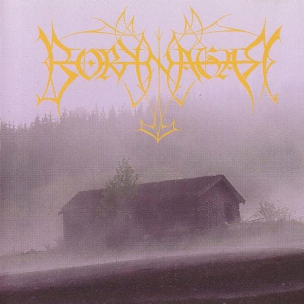 Borknagar cover