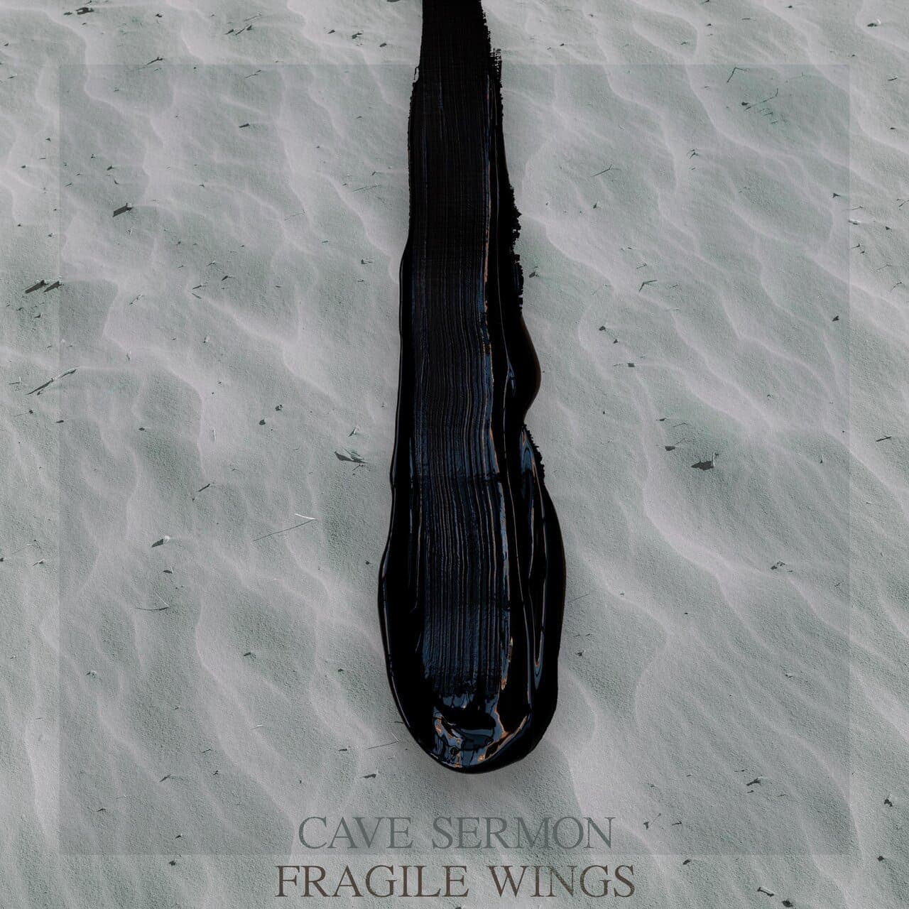 Fragile Wings cover