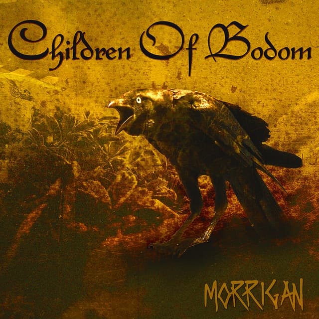 Morrigan cover