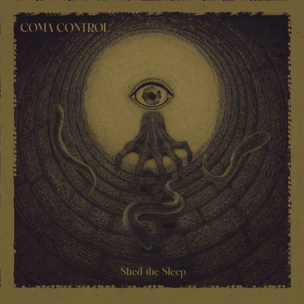 Shed the Sleep cover