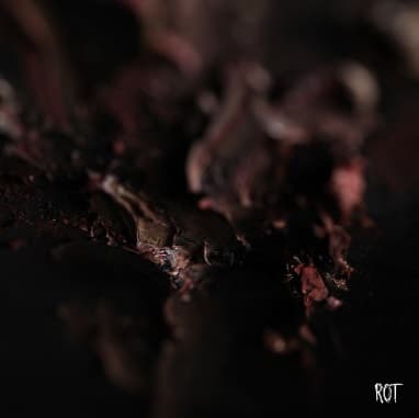 Rot cover