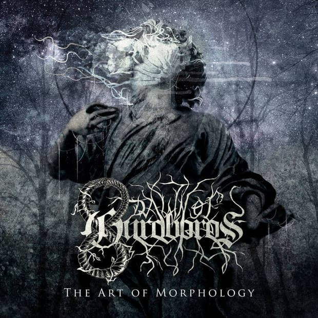 The Art of Morphology cover