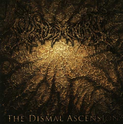 The Dismal Ascension cover