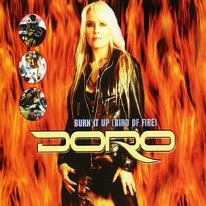 Burn It Up (Bird of Fire) cover