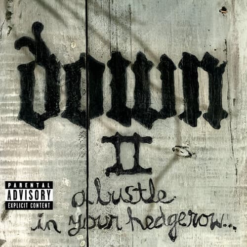 Down II: A Bustle in Your Hedgerow cover