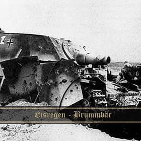 Brummbär cover