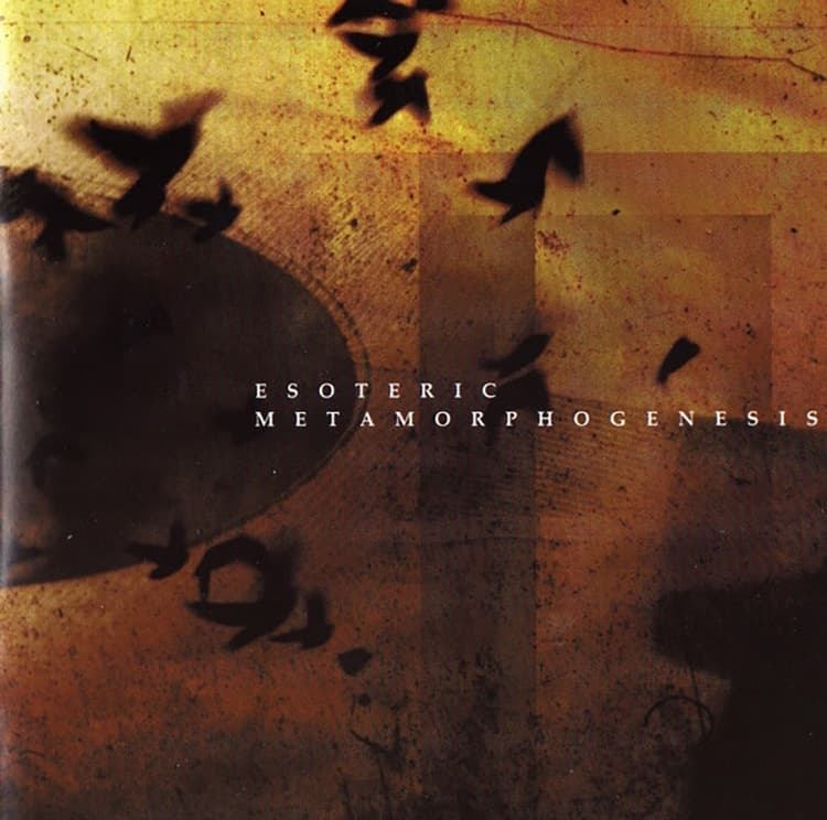 Metamorphogenesis cover