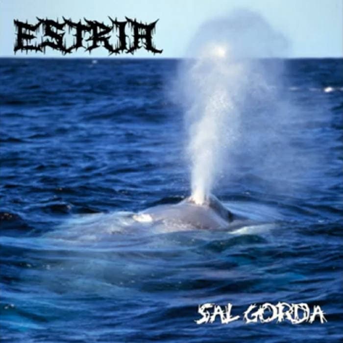 Sal gorda cover