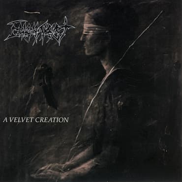 A Velvet Creation cover