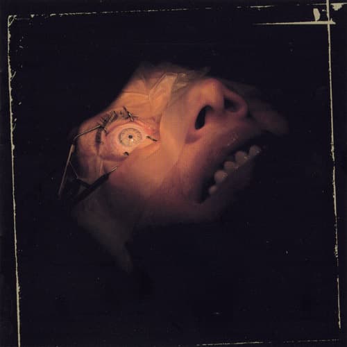 Anatomy Is Destiny cover