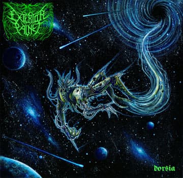 Dorsia cover