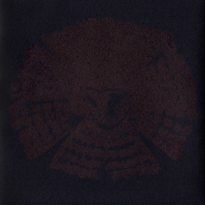Avifauna cover