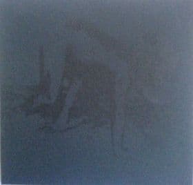 Rain cover