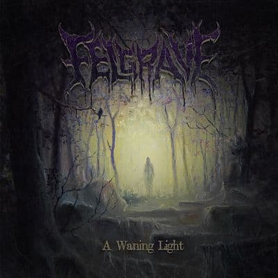 A Waning Light cover