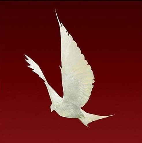 Dove cover