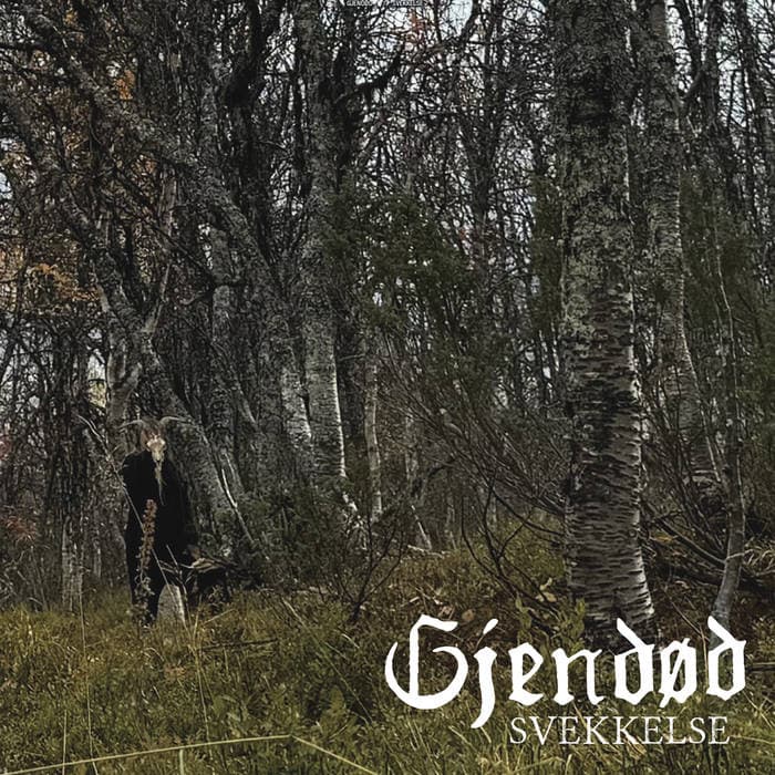Svekkelse cover