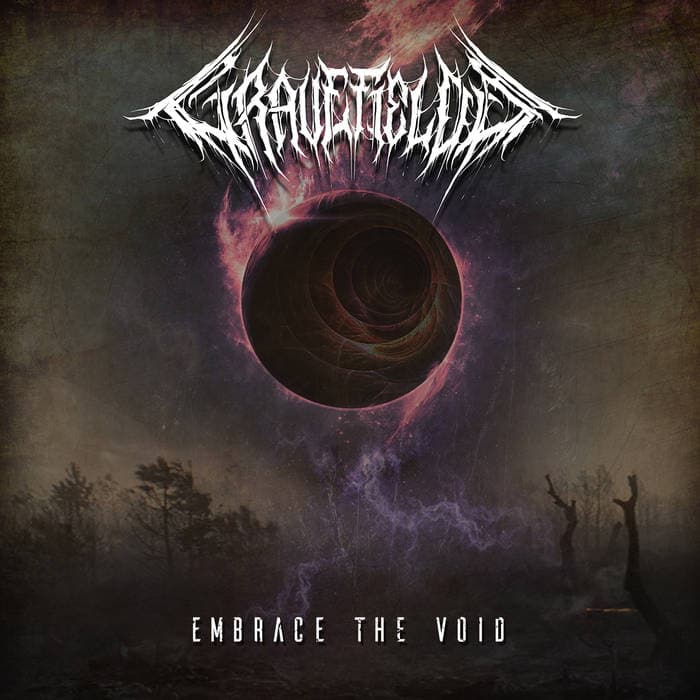 Embrace the Void cover