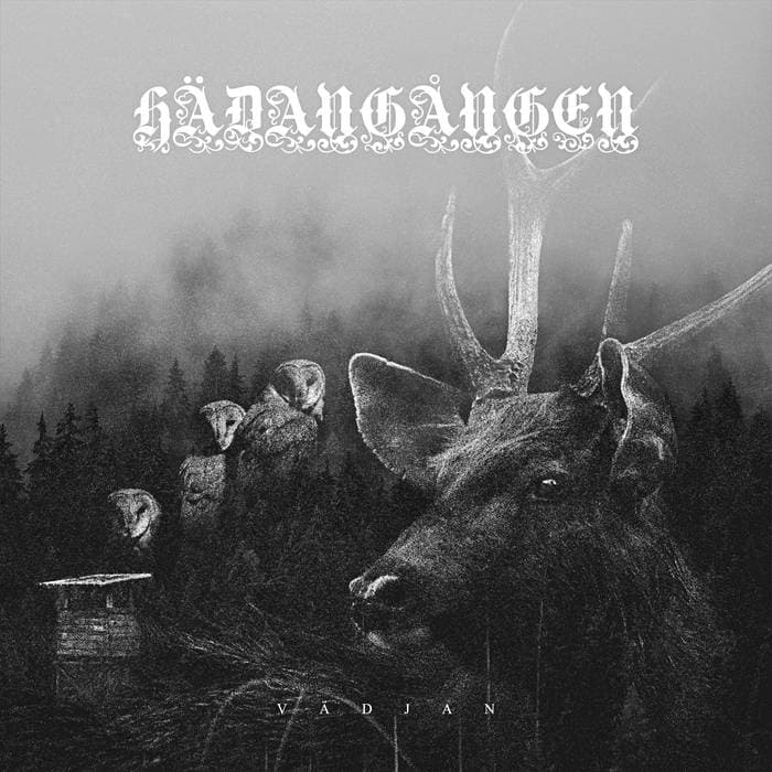 Vädjan cover