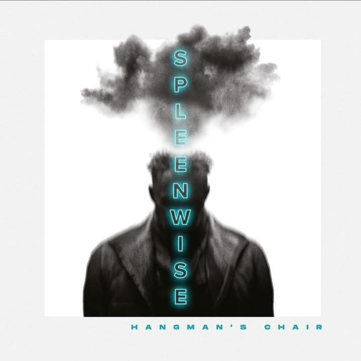 Spleenwise cover